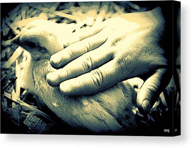 Easter Canvas Print featuring the photograph A Loving Hand by Diane montana Jansson