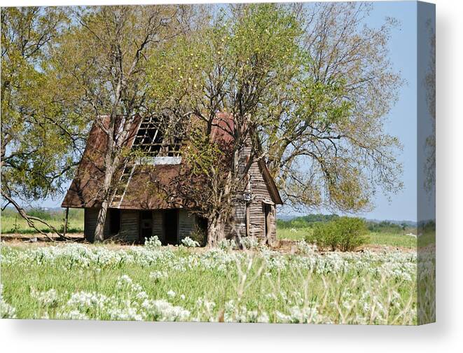 Barns Canvas Print featuring the photograph A Place Called Home by Lisa Moore