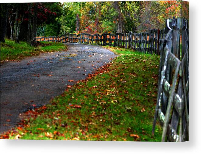 Alley Canvas Print featuring the photograph A walk in an autumn afternoon by Emanuel Tanjala