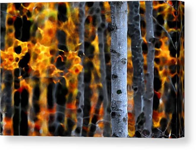 Autumn Colors Canvas Print featuring the photograph Ablaze in Color by Andrea Kollo