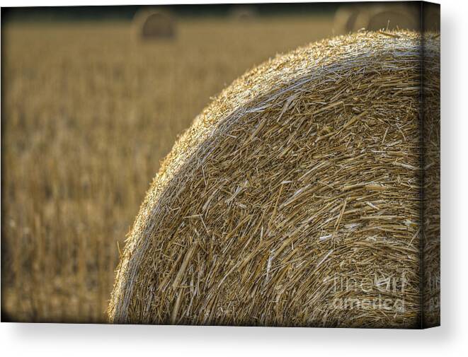 Clare Bambers Canvas Print featuring the photograph Abstract Bale by Clare Bambers