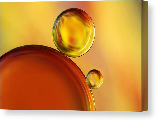 Oil Canvas Print featuring the photograph Abstract Oil Drops by Sharon Johnstone