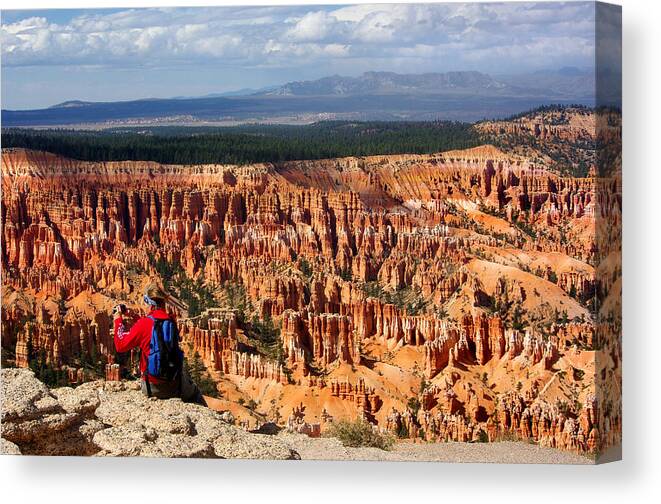 Photograph Canvas Print featuring the photograph Amazing View by Vicki Pelham