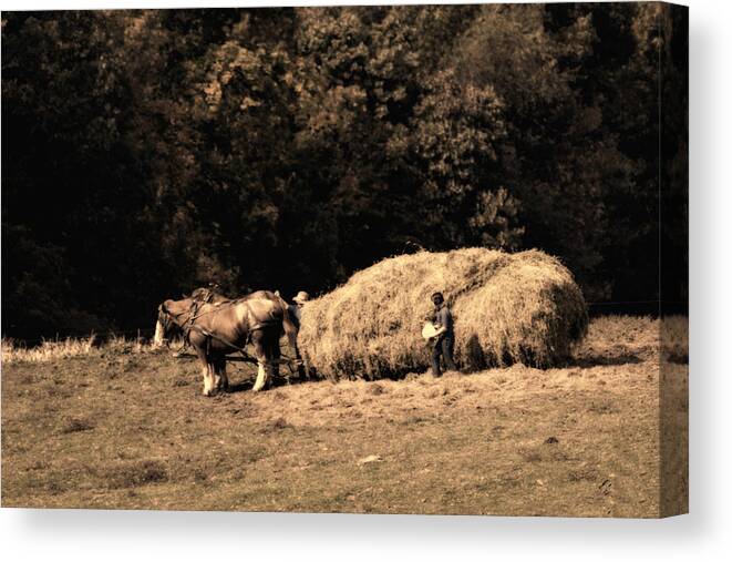 Amish Canvas Print featuring the photograph Amish Hay Wagon by Tom Mc Nemar
