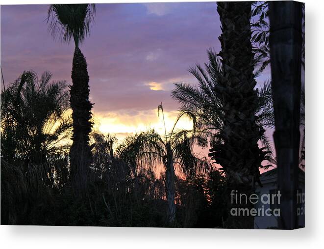 Sunset Canvas Print featuring the photograph Arizona Sunset 2 by Pamela Walrath