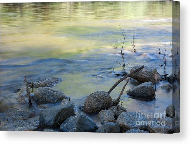 Merced River Canvas Print featuring the photograph At Merced Rive by Catherine Lau