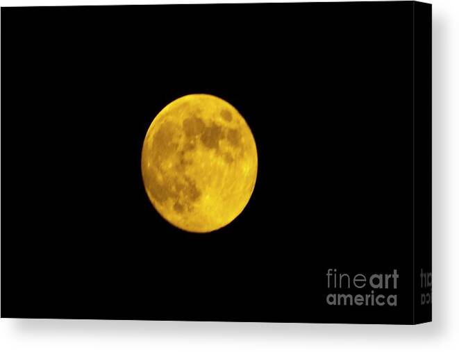 Moon Canvas Print featuring the photograph August Moon by Tommy Anderson