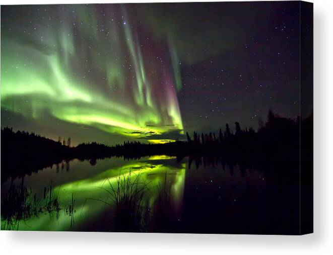 Aurora Canvas Print featuring the photograph Aurora Rain by Valerie Pond