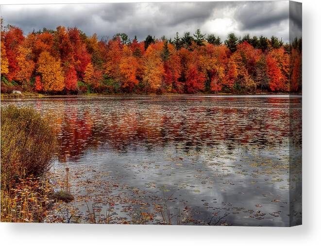Autumn Colors Canvas Print featuring the photograph Autumn colors by Yelena Rozov