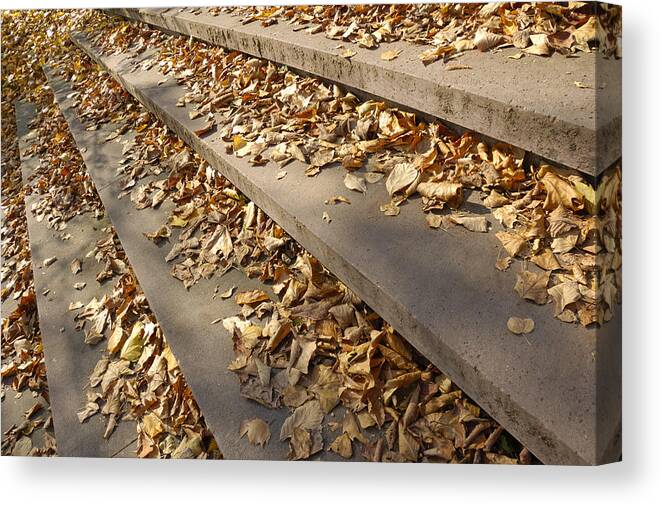 Fall Canvas Print featuring the photograph Autumn - foliage on stairs by Matthias Hauser