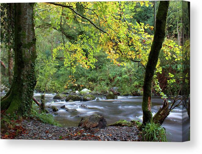 Devils Glen Canvas Print featuring the photograph Autumn in the Glen by Celine Pollard