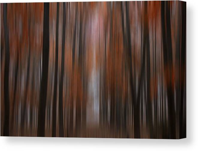 Landscape Canvas Print featuring the photograph Autumn in the Midwest by Darlene Bushue