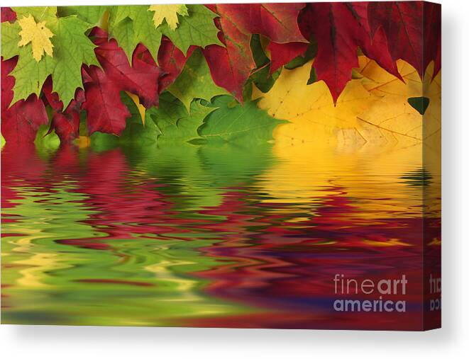 Leaves Canvas Print featuring the photograph Autumn leaves in water with reflection by Simon Bratt