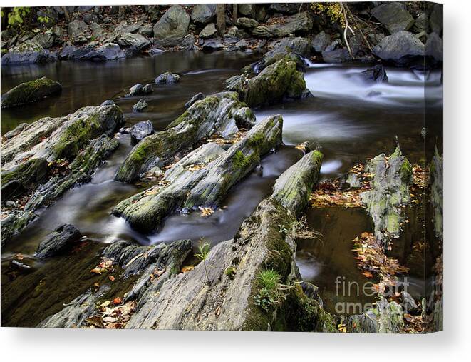Smoky Mountains Canvas Print featuring the photograph Autumn Stream 2 by Dennis Hedberg