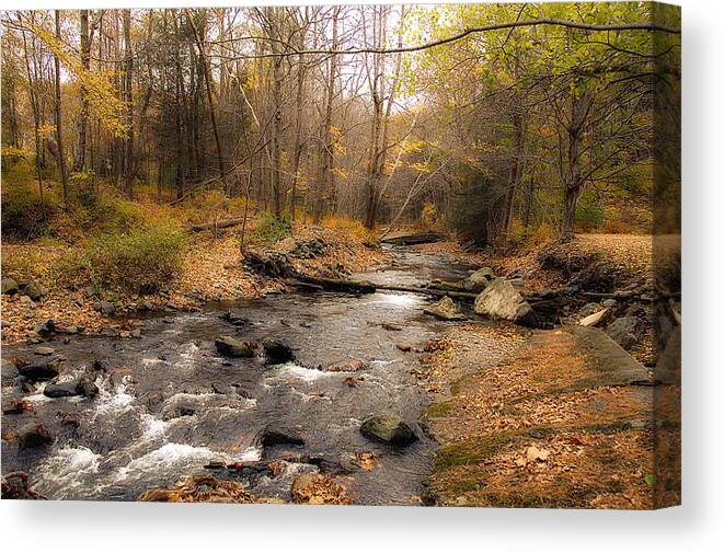 Stream Canvas Print featuring the photograph Babbling Brook in Autumn by Cathy Kovarik