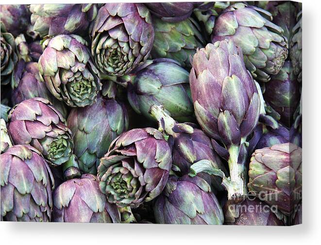 Agriculture Canvas Print featuring the photograph Background of artichokes by Jane Rix