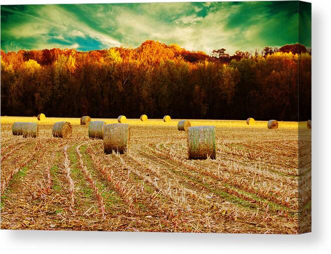 Hay Canvas Print featuring the photograph Bales of Autumn by Bill and Linda Tiepelman