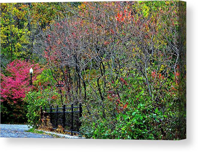 Fall.path Canvas Print featuring the photograph Beaver Lake Lookout by Burney Lieberman