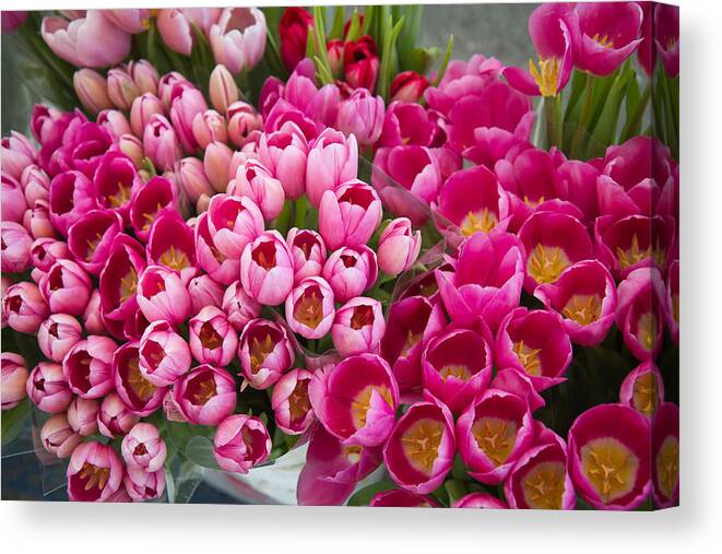 Bouquet Of Tulips Canvas Print featuring the photograph Birds Eye View Of Chatting Tulips by Dina Calvarese