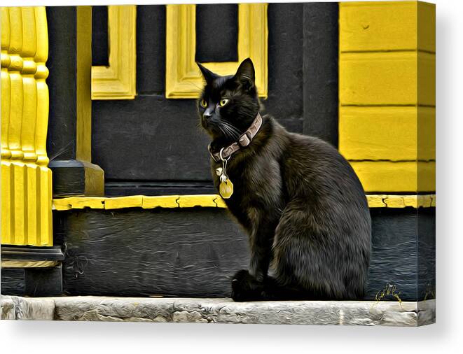 Cats Canvas Print featuring the photograph Black Cat Yellow Trim by T Cairns