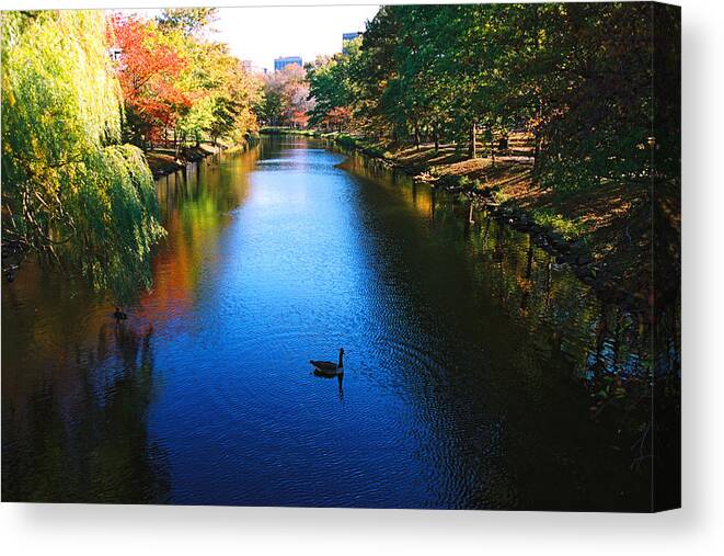 Boston Canvas Print featuring the photograph Boston by Claude Taylor