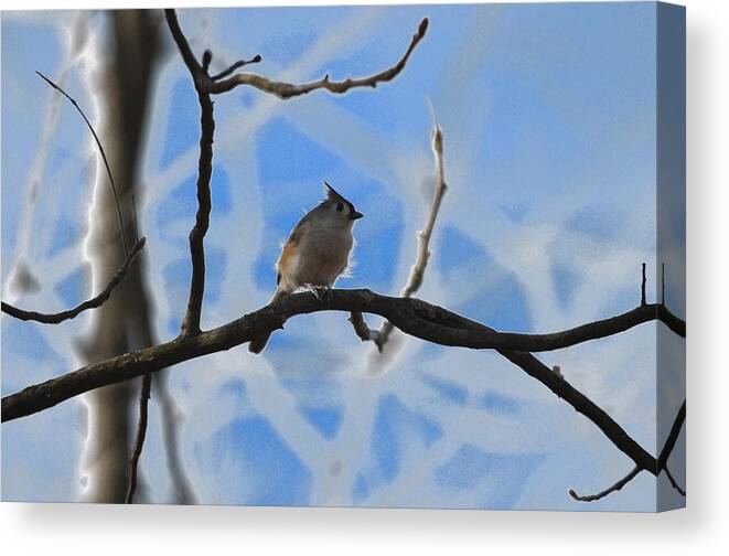 Nature Canvas Print featuring the photograph Blurred Branches by Brian Stevens