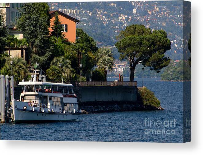 Ship Canvas Print featuring the photograph Boat and tree by Mats Silvan