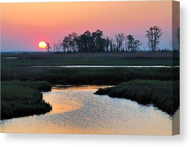 Sunrise Canvas Print featuring the photograph Bombay Hook Sunrise by Craig Leaper