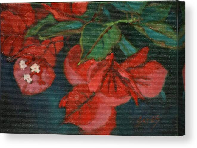 Bougainvillea Canvas Print featuring the painting Bougainvillea by Linda Eades Blackburn