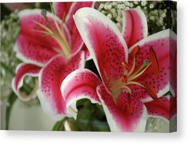 Lilies Canvas Print featuring the photograph Bouquet of Love by Wanda Brandon