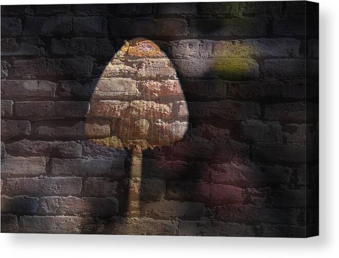 Fungus Canvas Print featuring the mixed media Brick Mushroom by Eric Liller
