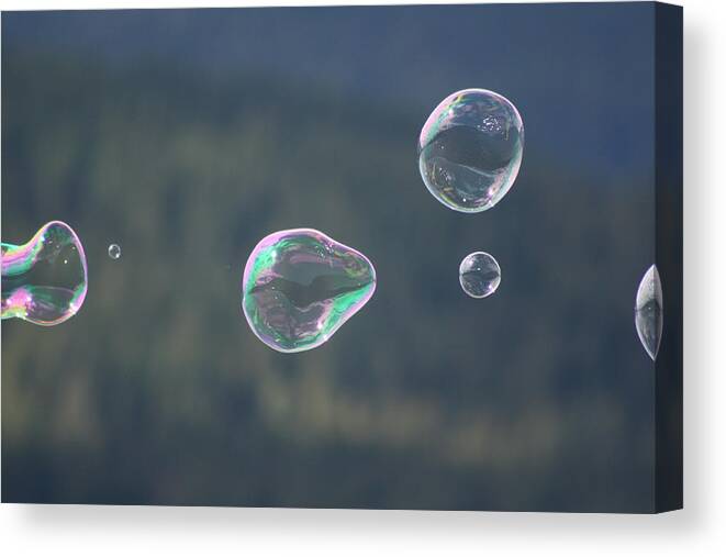 Bubbles Canvas Print featuring the photograph Bubbles In The Wind by Cathie Douglas