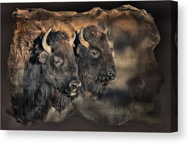 Zapata Ranch Canvas Print featuring the photograph Buffalo Head by Pamela Steege