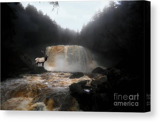 Blackwater Falls Elk Canvas Print featuring the photograph Bull elk in front of waterfall by Dan Friend