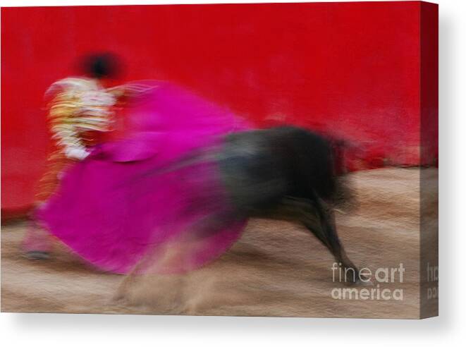 Spanish Tradition Canvas Print featuring the photograph Bull Fighter - Mexico by Craig Lovell