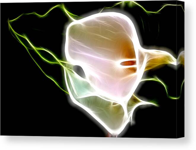 Calla Lily Canvas Print featuring the digital art Calla Lily Art by Kami McKeon