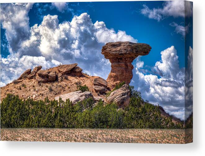 Landscape Canvas Print featuring the photograph Camel Rock by Anna Rumiantseva