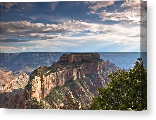 North Rim Canvas Print featuring the photograph Cape Royal North rim grand canyon by Greg Wyatt