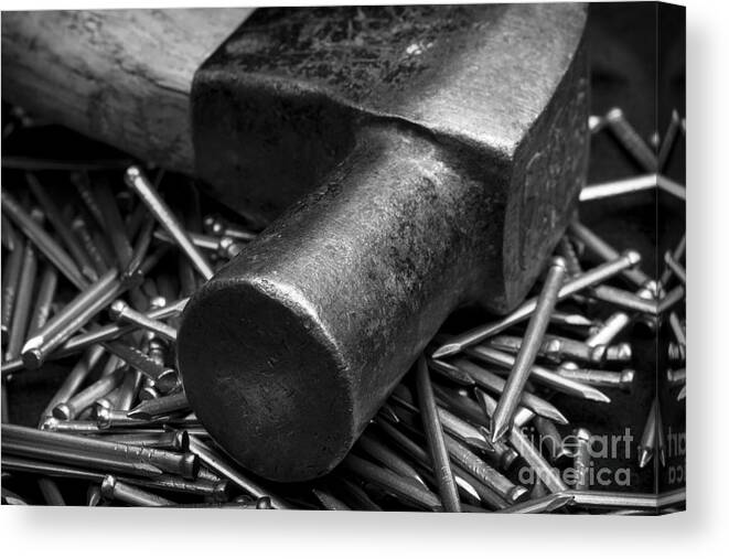 Clare Bambers Canvas Print featuring the photograph Carpenter Handyman Hammer and Nails by Clare Bambers