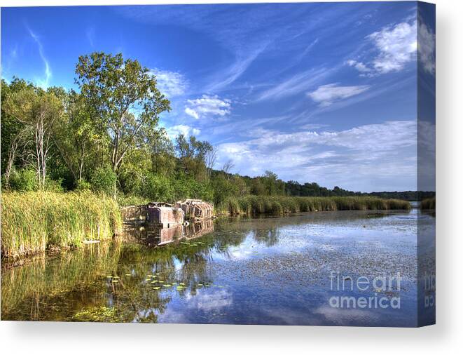 Swamp Canvas Print featuring the photograph Clouds in the water by Dejan Jovanovic