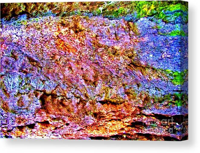 Tree Bark Canvas Print Canvas Print featuring the photograph Color My World by Jayne Kerr 