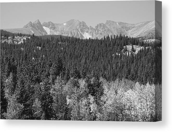 Colorado Canvas Print featuring the photograph Colorado Rocky Mountain Continental Divide View BW by James BO Insogna
