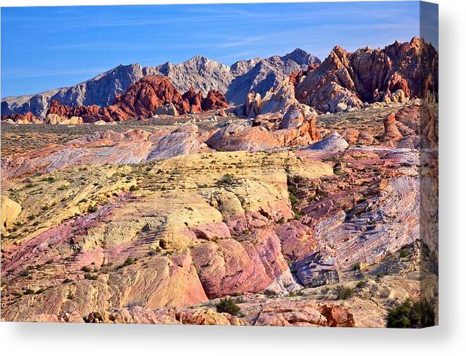 Landscape Canvas Print featuring the photograph Colors of the Valley of Fire by Joseph Urbaszewski