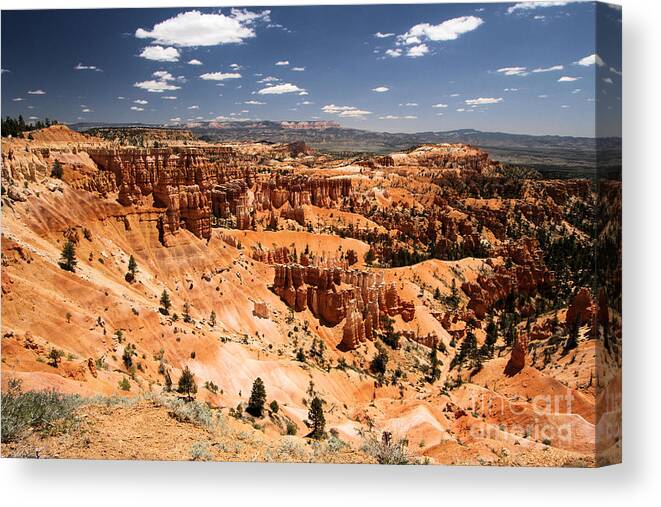 Bryce Canyon National Park Canvas Print featuring the photograph Concert Time by Adam Jewell
