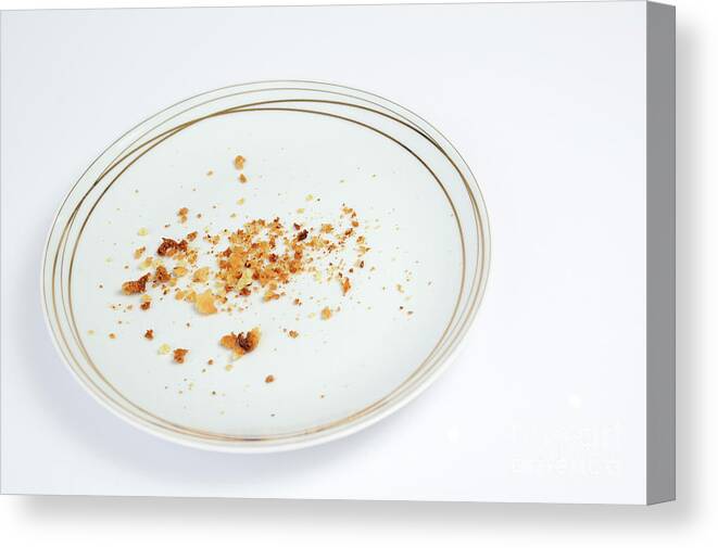 Cookies crumbs in an empty plate Canvas Print / Canvas Art by Sami Sarkis -  Fine Art America