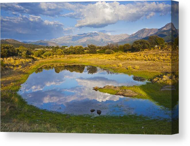 Horizontal Canvas Print featuring the photograph Dehesa, Typical Pasture Of Extremadura by Gonzalo Azumendi