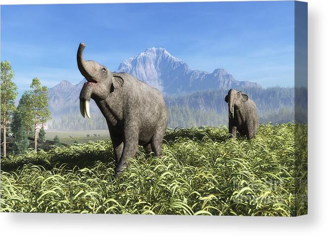 Deinotherium And Elephant Compared Framed Print by Walter Myers - Fine Art  America
