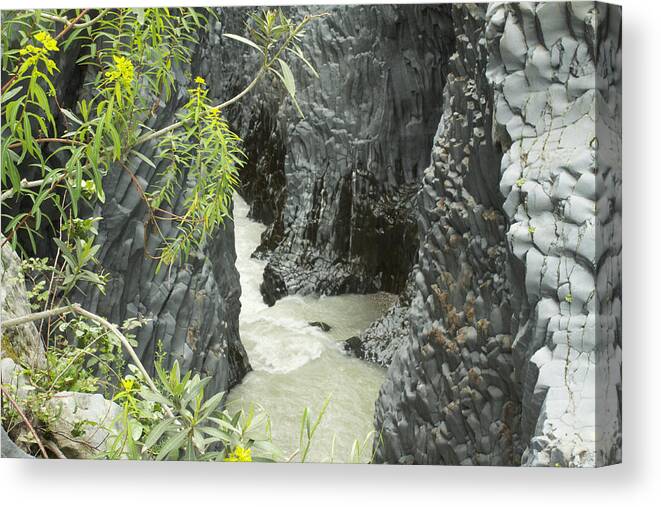 Alcantara Canvas Print featuring the photograph Dentro le Gole dell'Alcantara by Donato Iannuzzi