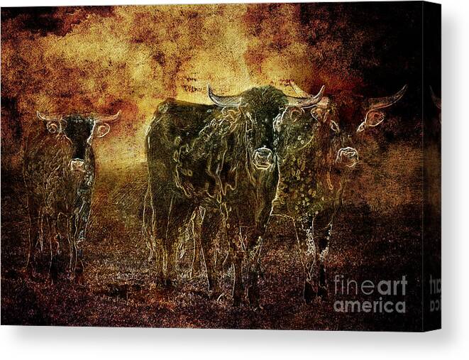 Cattle Canvas Print featuring the photograph Devil's Herd - Texas Longhorn Cattle by Cindy Singleton