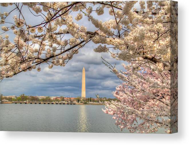 Metro Canvas Print featuring the digital art Digital Liquid - Cherry Blossoms Washington DC 4 by Metro DC Photography